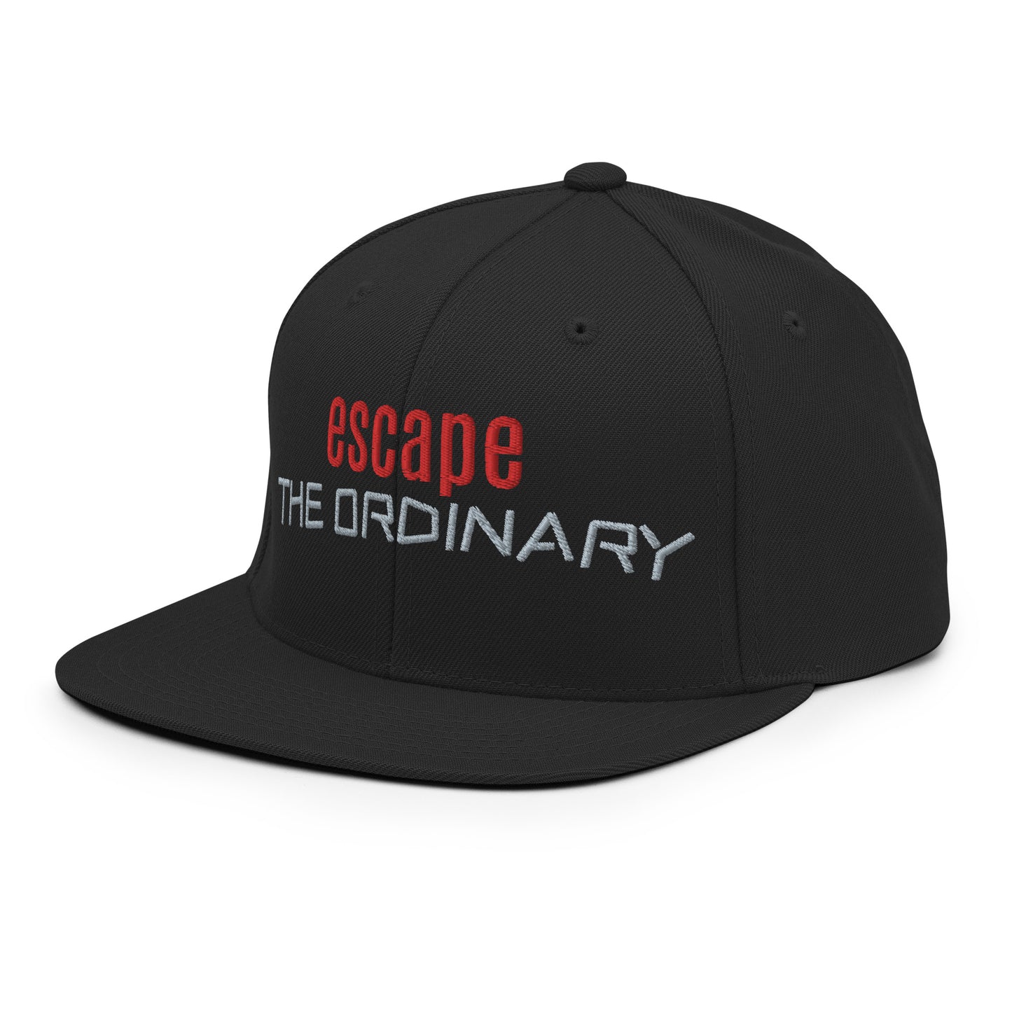 Snapback hat - esc ordinary