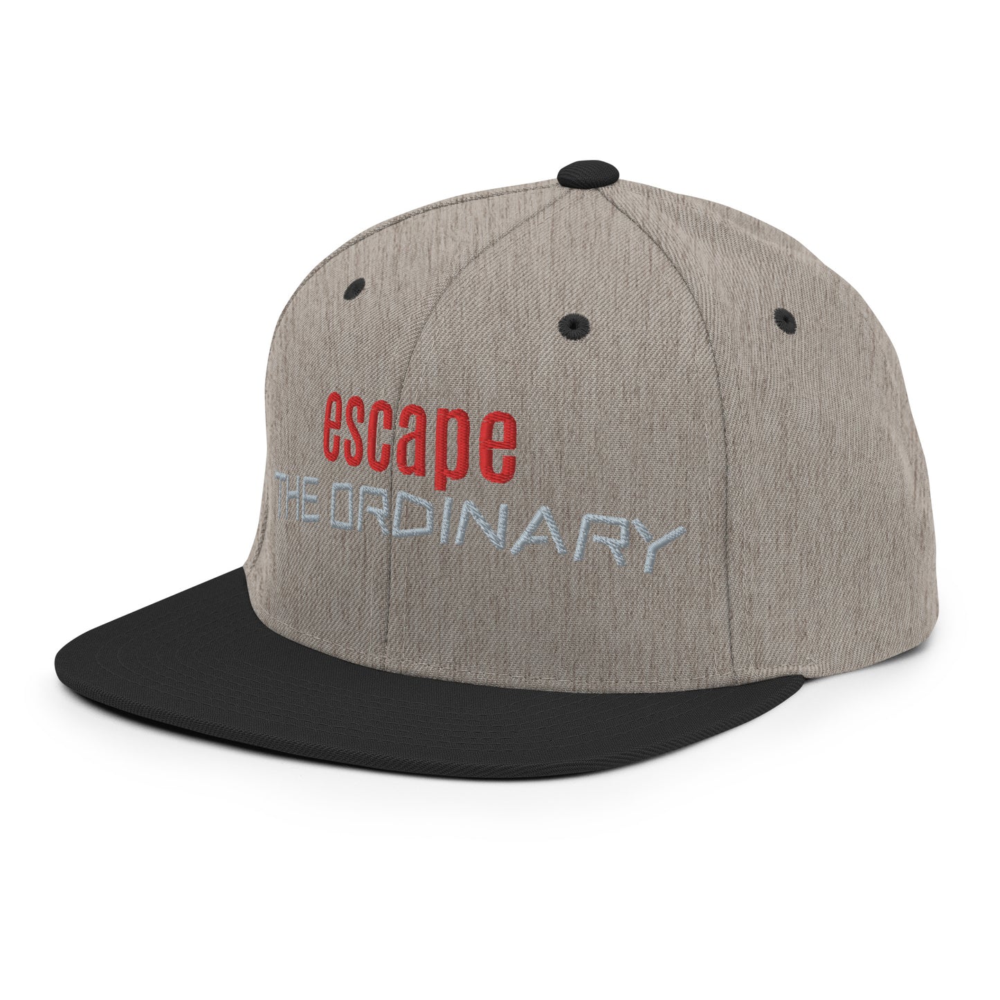 Snapback hat - esc ordinary