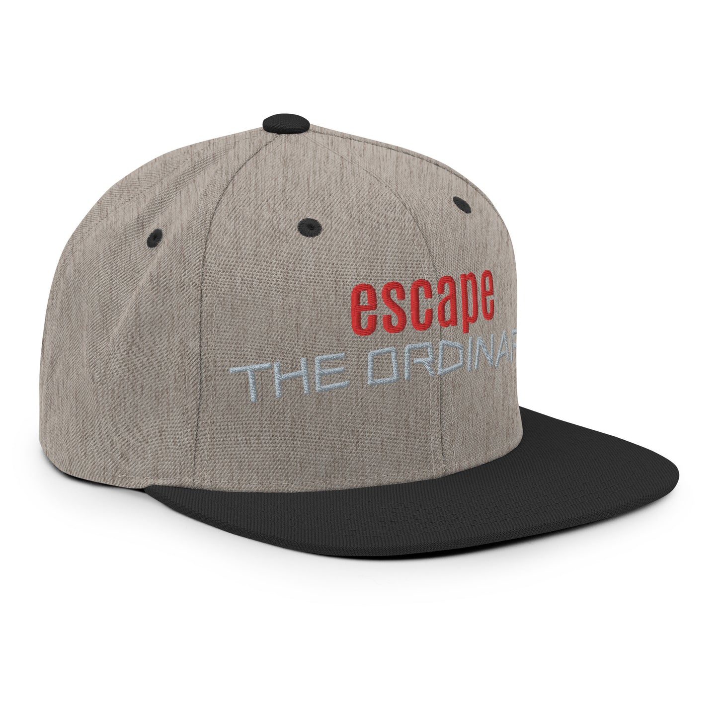 Gorra snapback - esc ordinaria