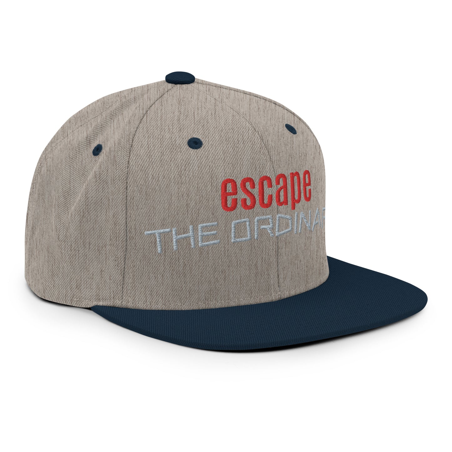 Snapback hat - esc ordinary