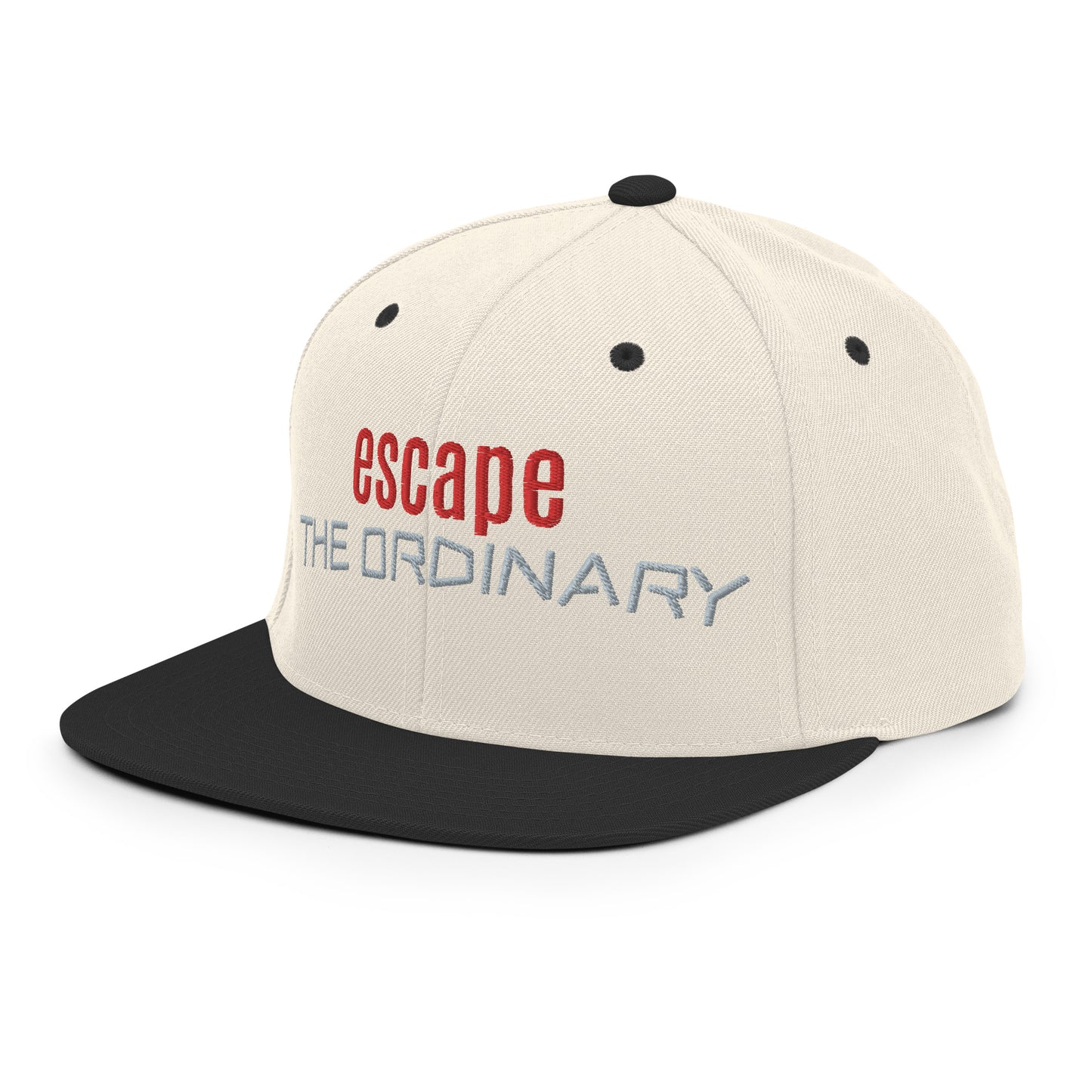 Snapback hat - esc ordinary