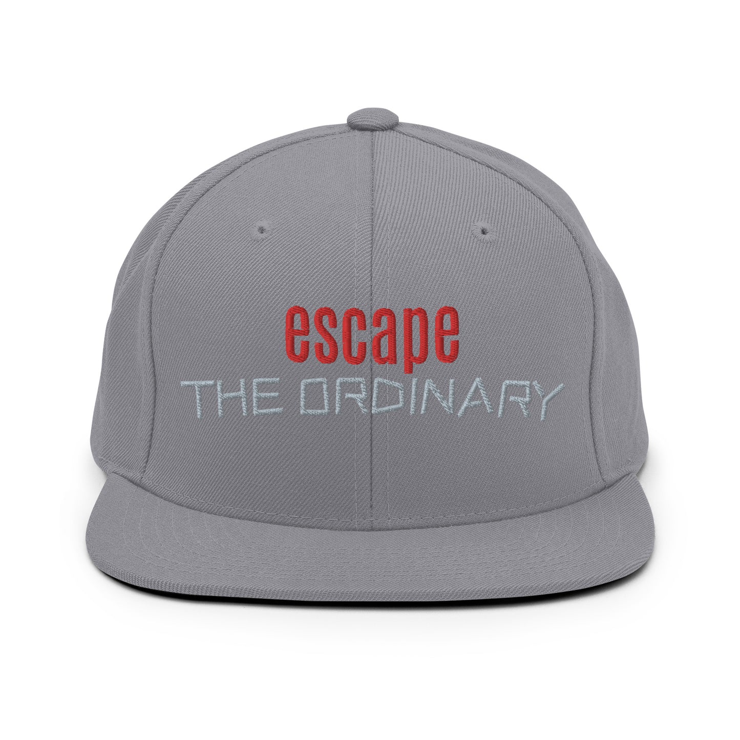 Snapback hat - esc ordinary