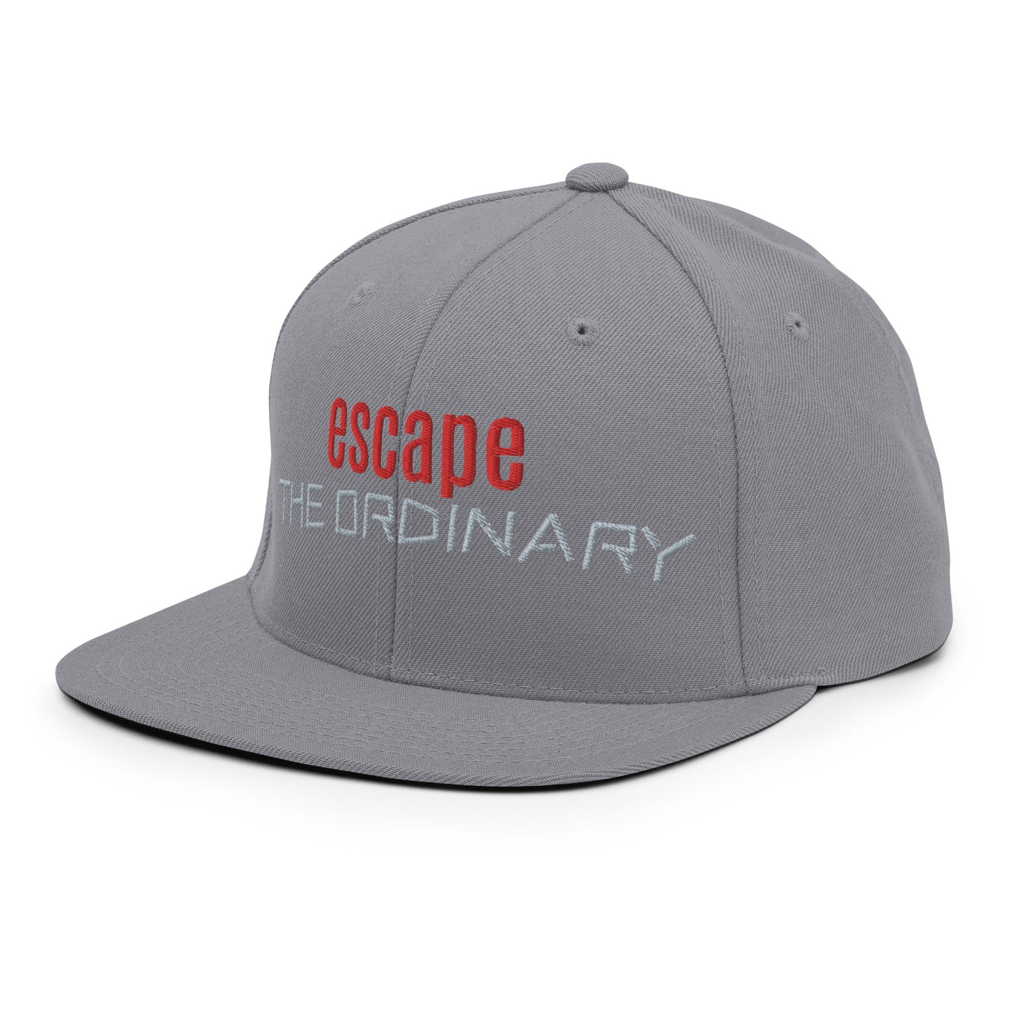 Snapback hat - esc ordinary